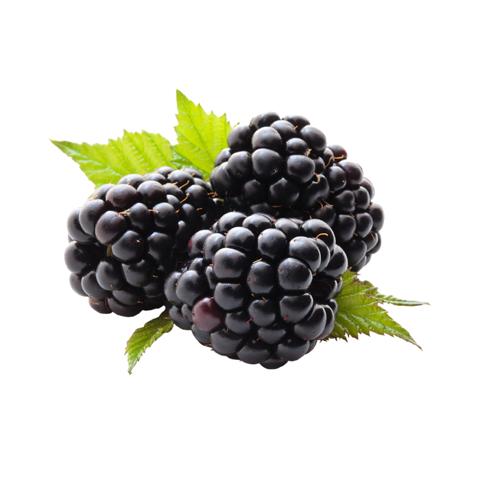 Blackberry