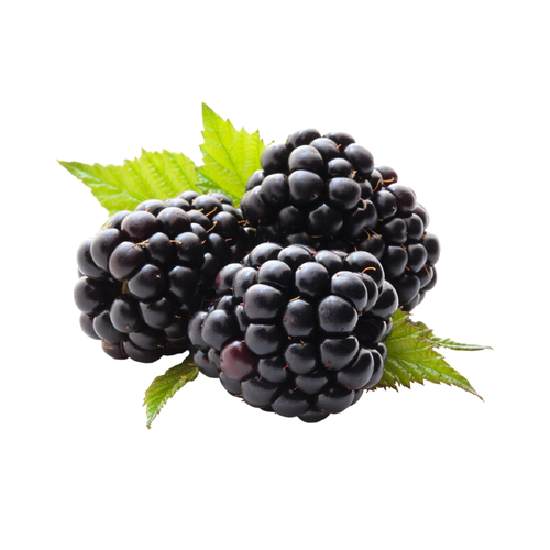 Blackberry Fragrance Oil