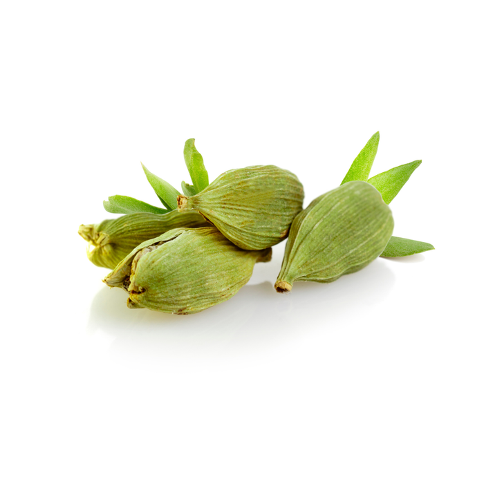 Cardamom