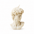 The Sculpted David