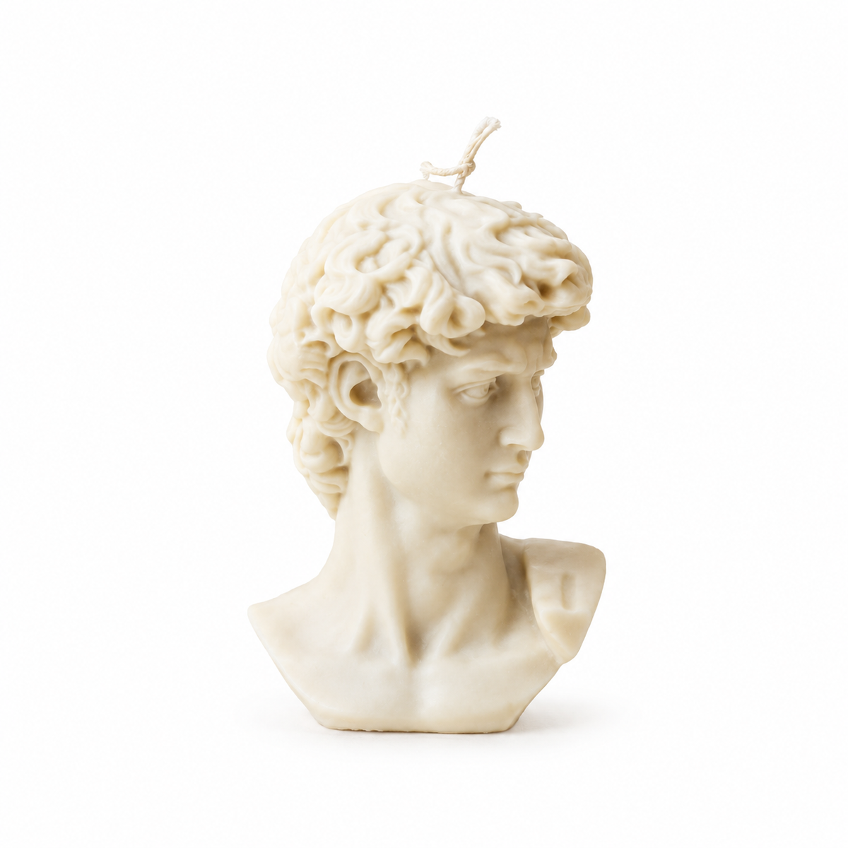 The Sculpted David