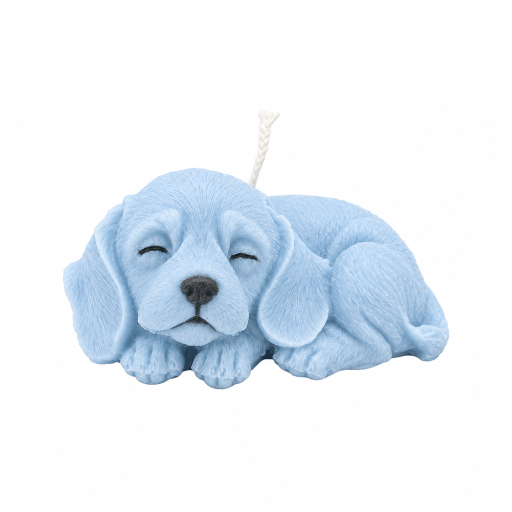 Sleepy Pup