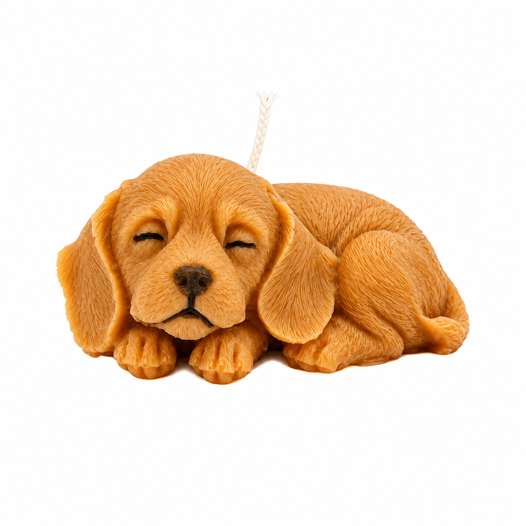 Sleepy Pup