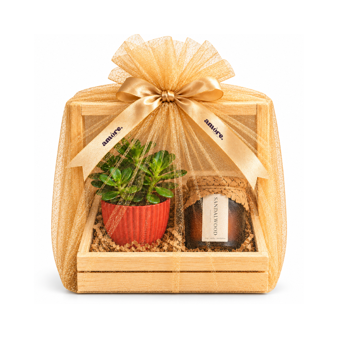Mitti Aur Mehak, plant and Sandalwood candle in a wooden crate by Amore Candles