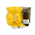 Ceramic Diffuser - Pineapple Fragrance Oil