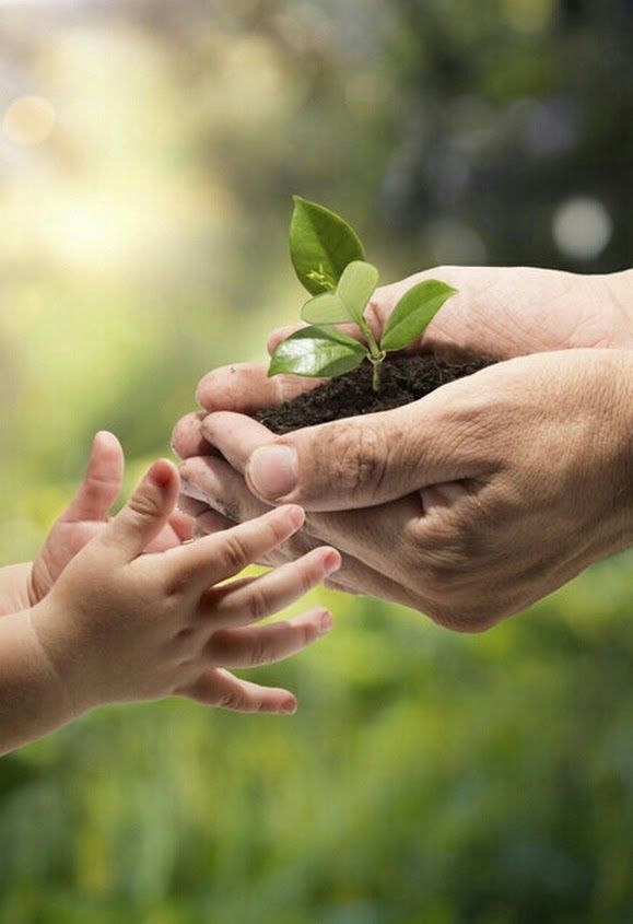An earth-conscious practice