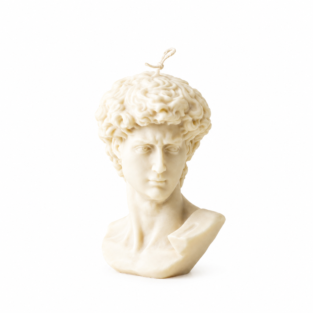 The Sculpted David