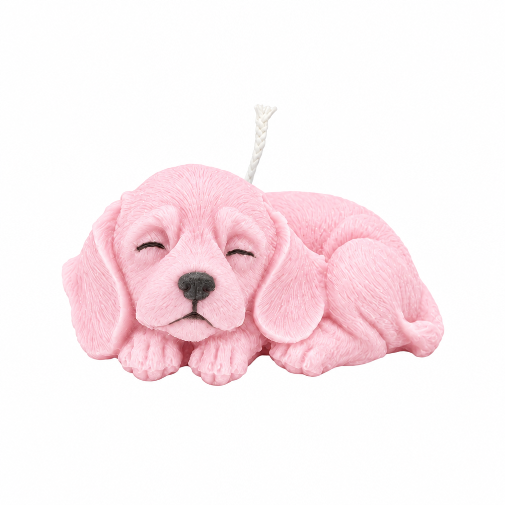 Sleepy Pup