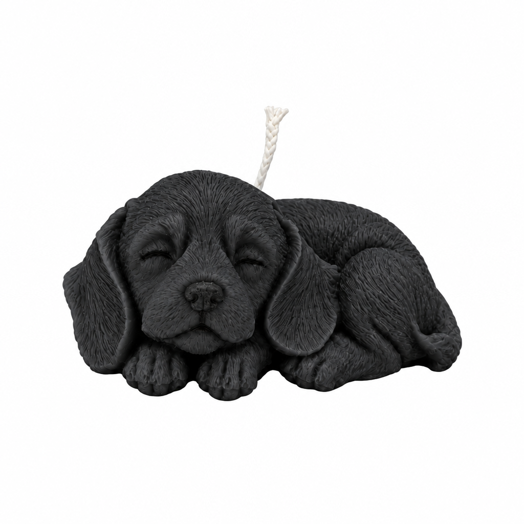 Sleepy Pup